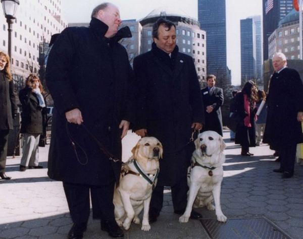 Dois homens cegos e os seus cães guia que os salvaram no 11 de setembro 
